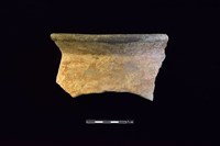 藏品(陶罐)的圖片